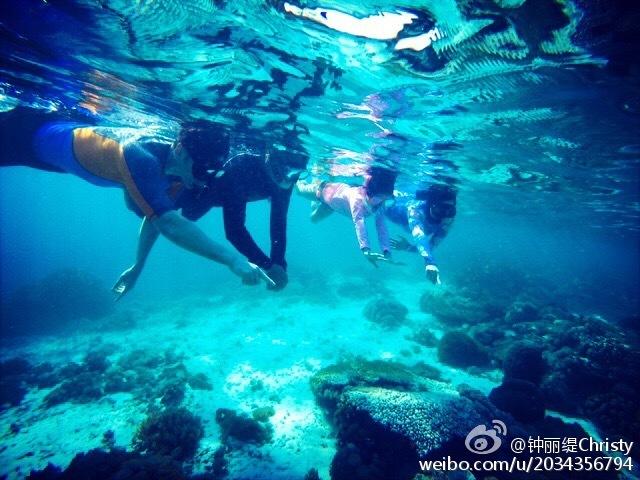 机智问答网页——我的macpro不显示原有的图标怎么办,求大神帮助!,智能回答你的问题